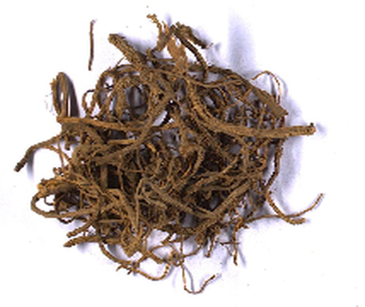 Angelica sinensis