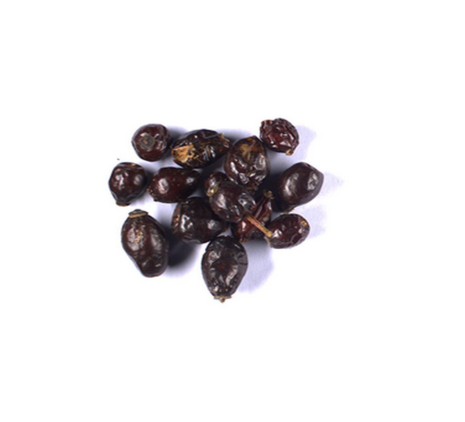 Rosa canina B0029, CAS ROSACEAE Extrasynthese