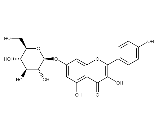 Kaempferol-7-O-glucoside