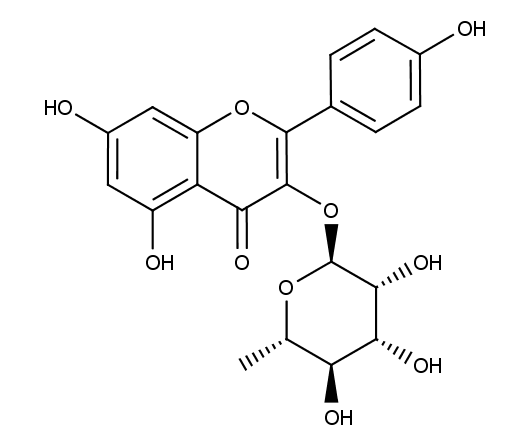 Kaempferol-3-O-rhamnoside