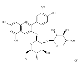 Cyanidin-3-O-sambubioside chloride