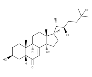 2-Deoxy ecdysone