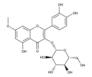 Rhamnetin-3-O-glucoside
