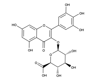 Myricetin-3-0-glucuronide