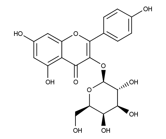 Kaempferol-3-O-galactoside