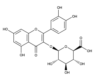Quercetin-3-O-glucuronide