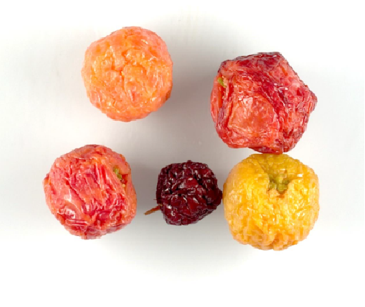 Malpighia emarginata