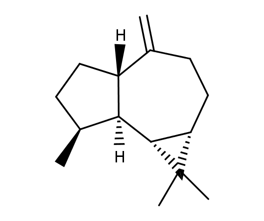)