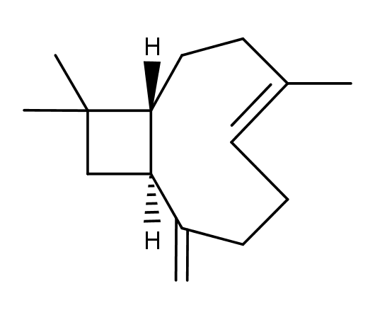 )