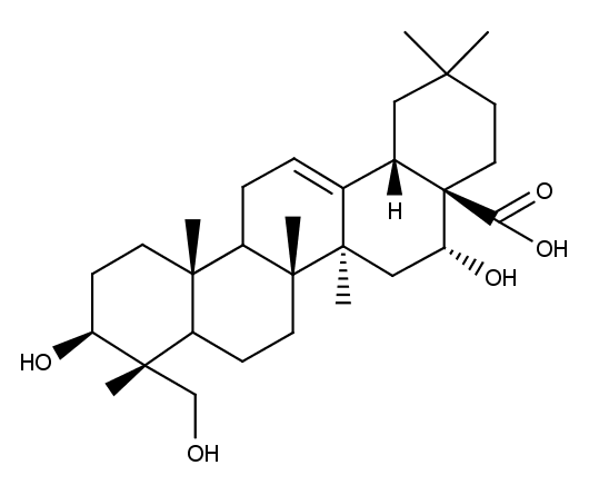 u