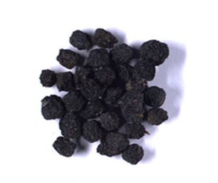 Aronia melanocarpa