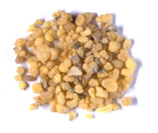 Boswellia serrata