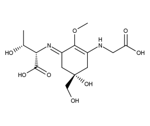 Porphyra 334