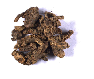 Rhodiola rosea