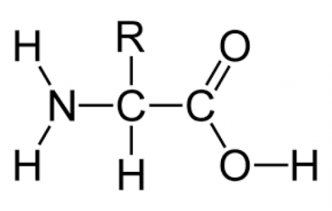 AMINOACID