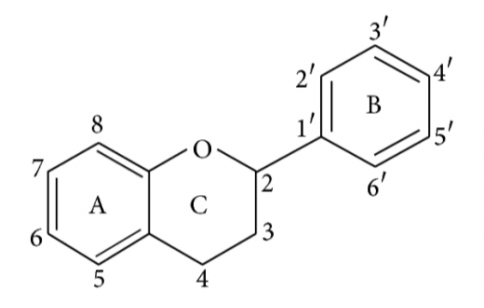 FLAVONOID