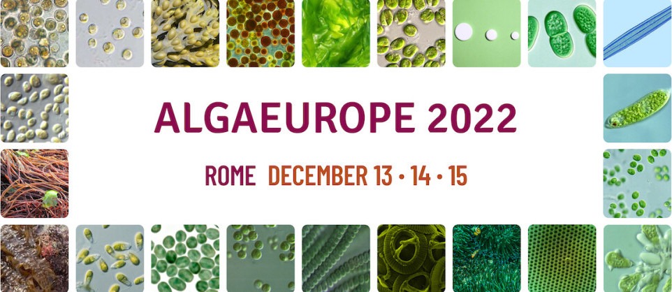 Algaeurope 2022 in Rome – Dec 13-15th