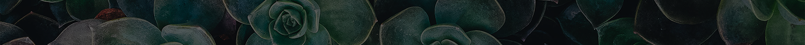 breadcrumb-bg